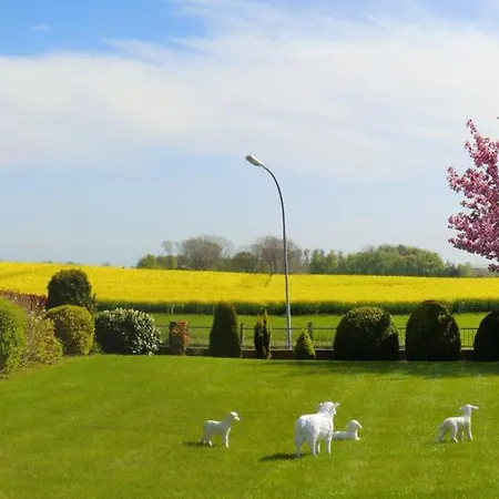 Διαμέρισμα 